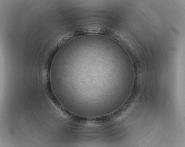 X0000112410641200908141401