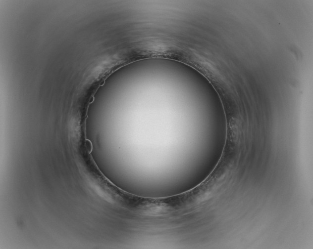 X0000112410642200908141401