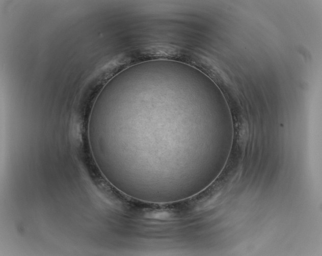 X0000112410643200908141401