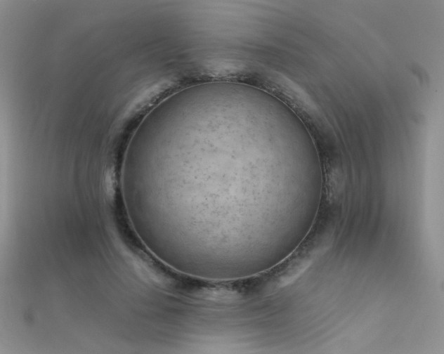 X0000112410644200908141401