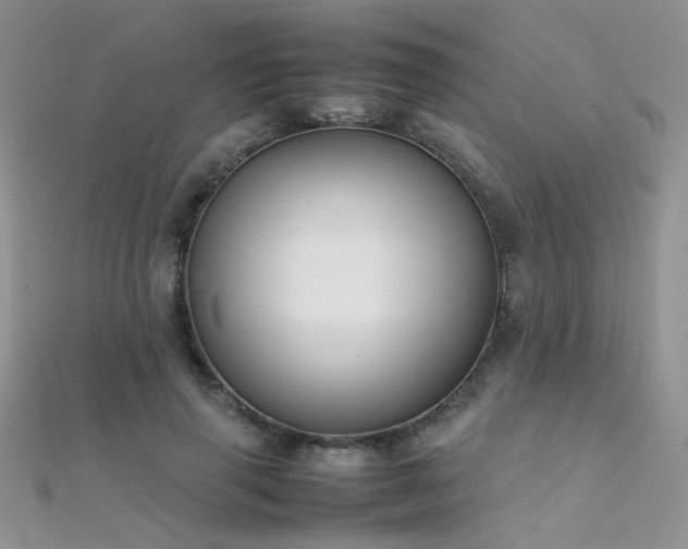 X0000112410645200908141401