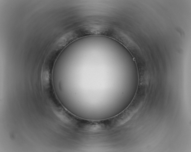 X0000112410646200908141401