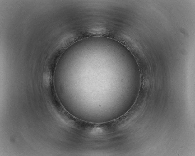 X0000112410647200908141401
