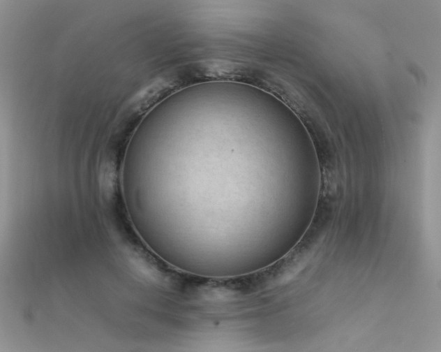 X0000112410648200908141401