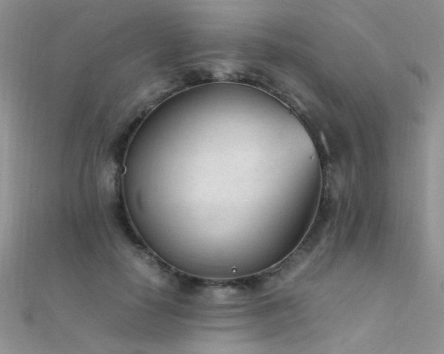 X0000112410650200908141402
