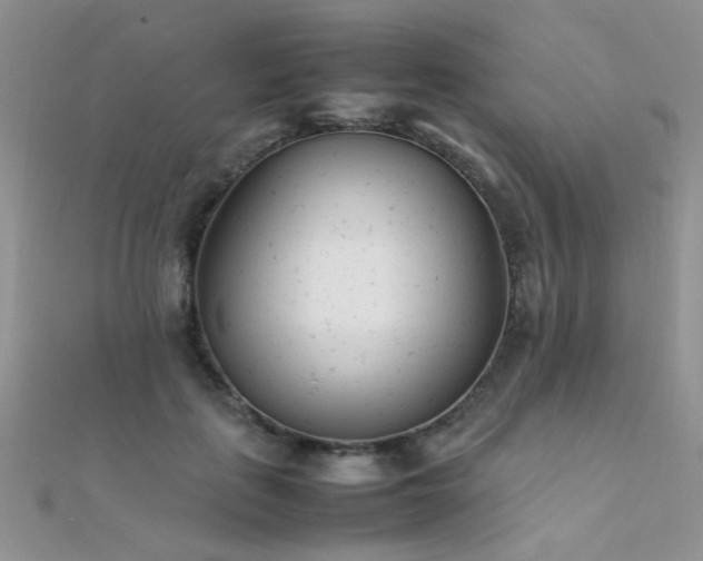 X0000112410651200908141402