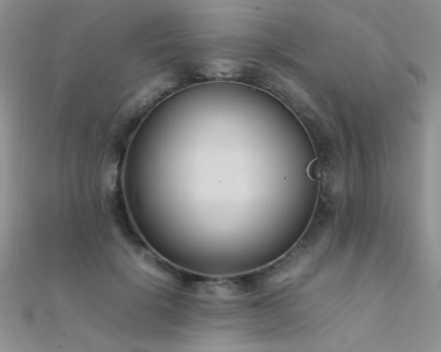 X0000112410652200908141402