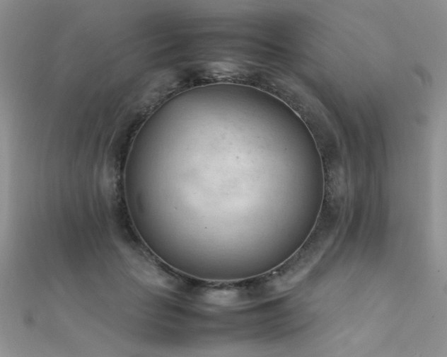 X0000112410653200908141402