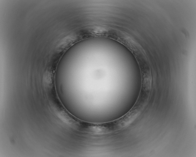 X0000112410654200908141402