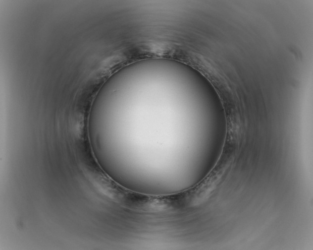 X0000112410656200908141402