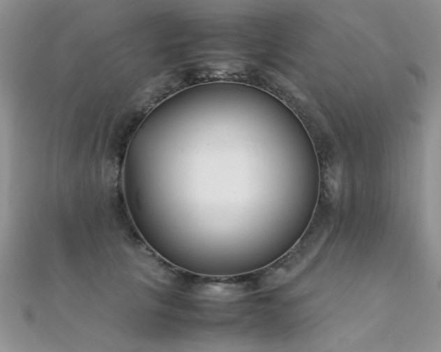 X0000112410657200908141402