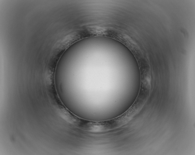 X0000112410658200908141402