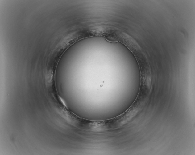 X0000112410660200908141402
