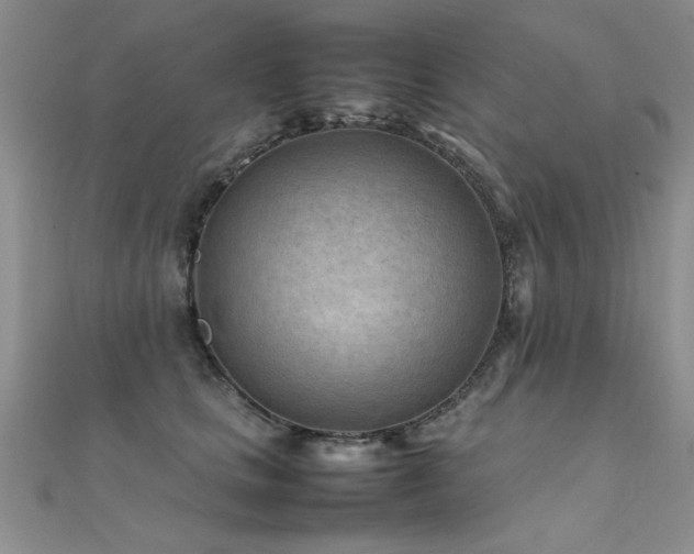 X0000112410661200908141402