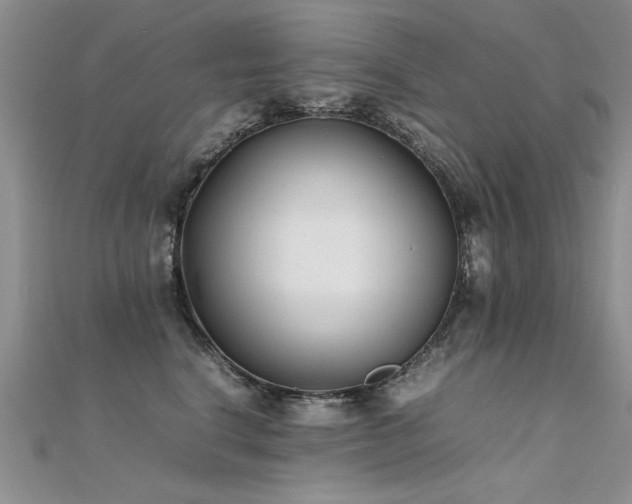 X0000112410664200908141402