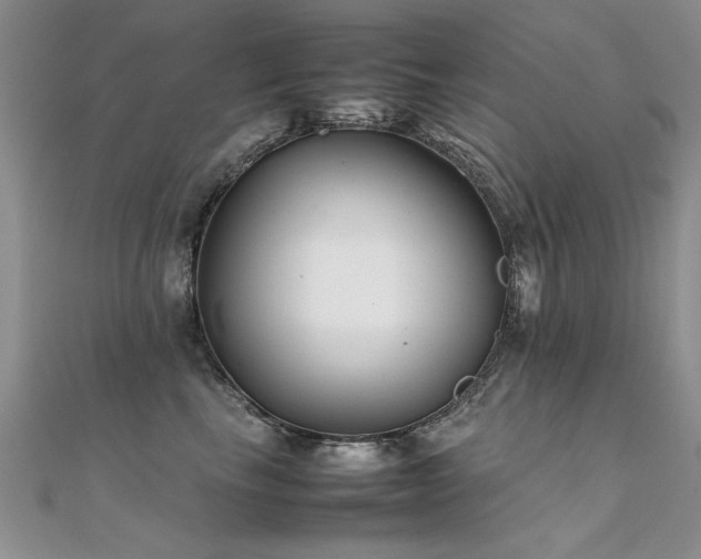X0000112410665200908141402