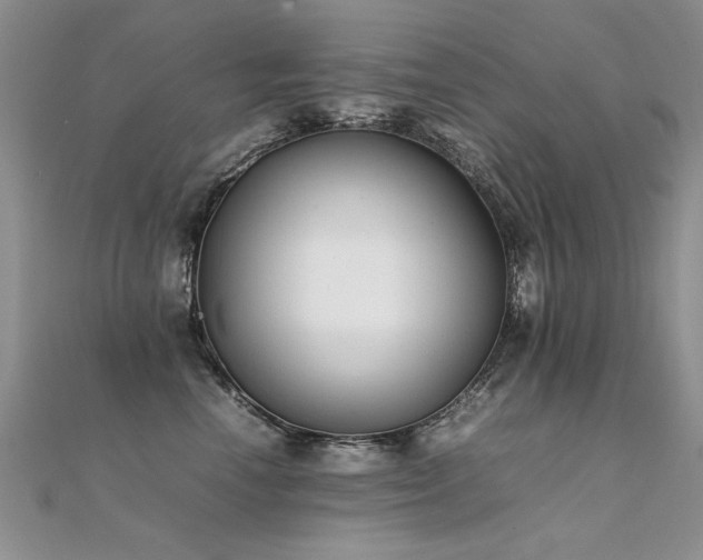X0000112410666200908141402