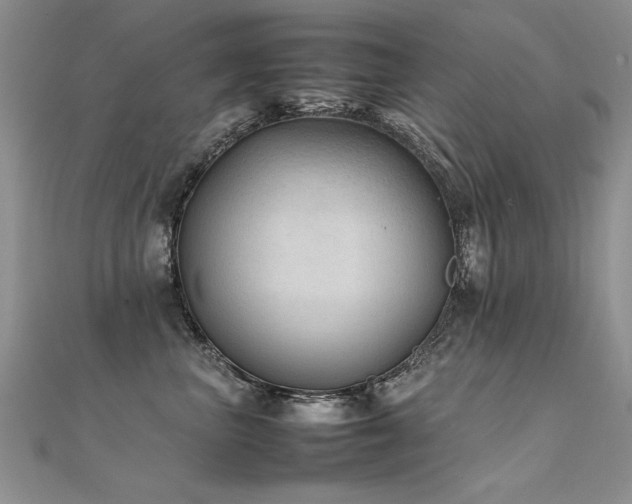 X0000112410667200908141402