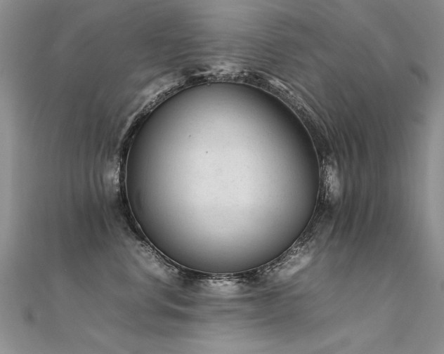 X0000112410668200908141402
