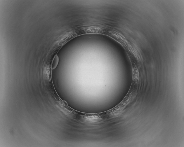 X0000112410669200908141402