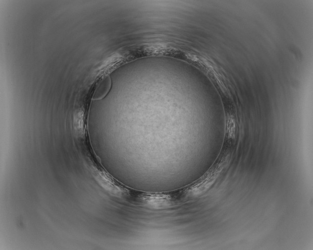 X0000112410670200908141402