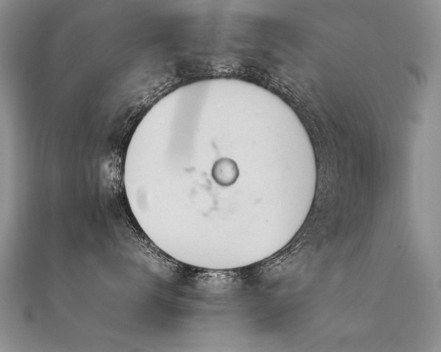 X0000112410672200908141402