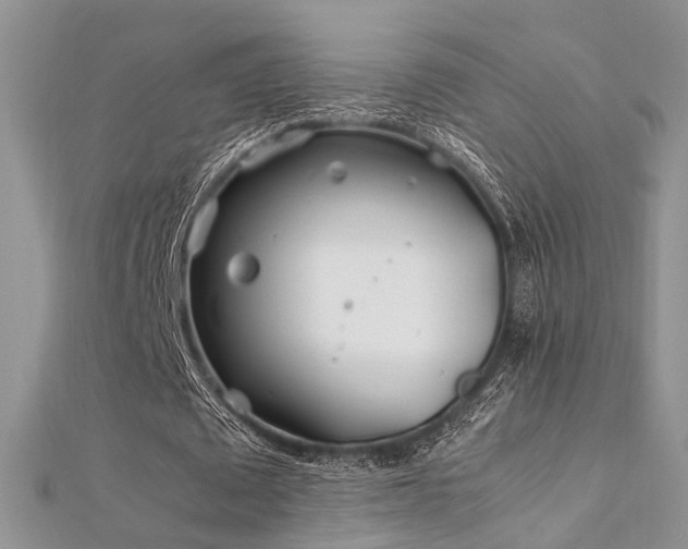 X0000112410673200908141401