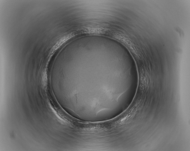 X0000112410674200908141401