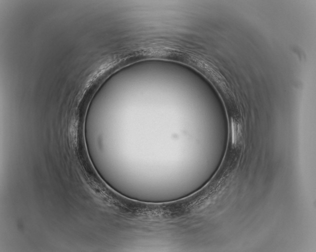 X0000112410675200908141401