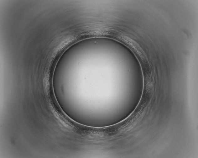 X0000112410677200908141401