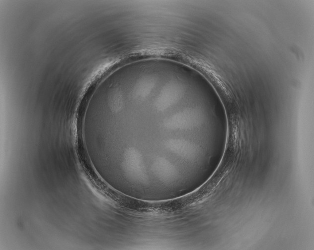 X0000112410678200908141401