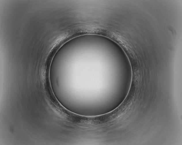 X0000112410679200908141401