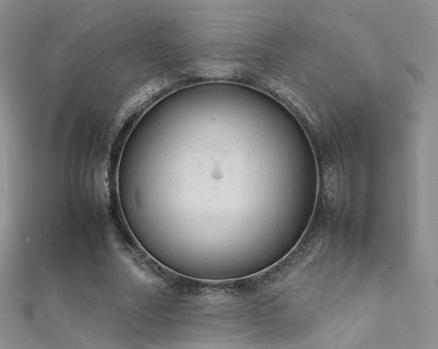 X0000112410682200908141401