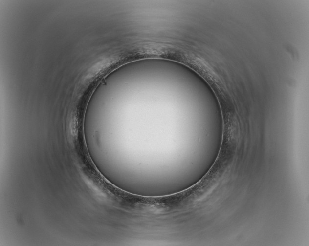 X0000112410683200908141401