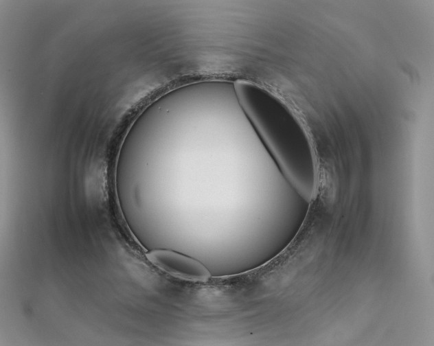 X0000112410684200908141401