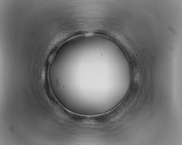 X0000112410685200908141401