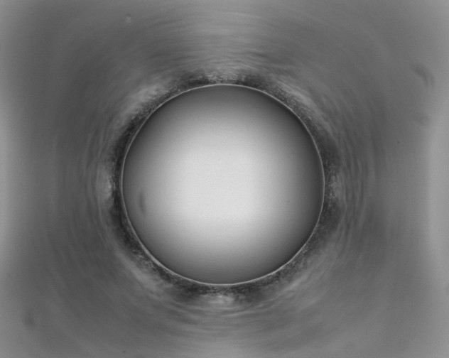 X0000112410687200908141401