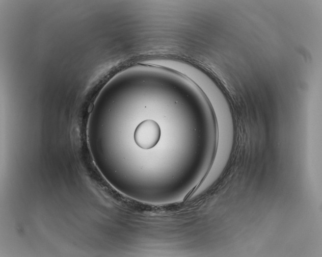 X0000112410688200908141401