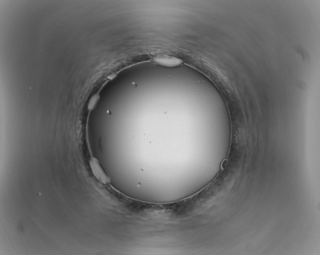 X0000112410689200908141401