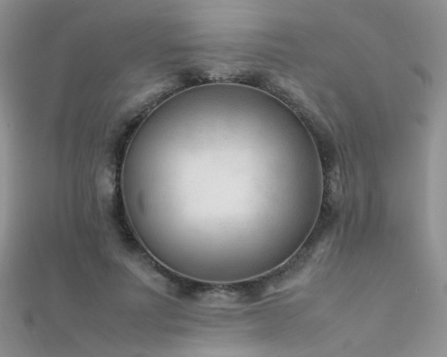 X0000112410691200908141401
