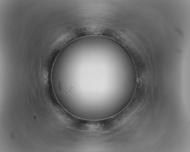 X0000112410693200908141401
