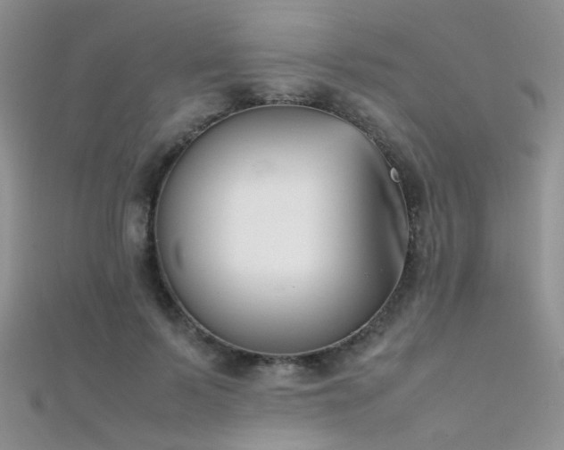 X0000112410695200908141401