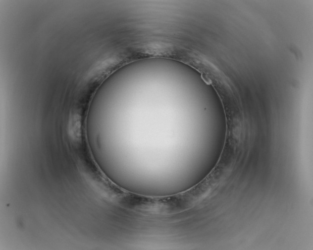X0000112410696200908141401