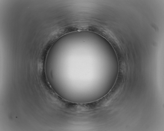 X0000112410697200908141401