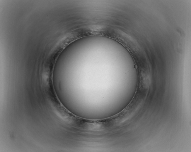 X0000112410698200908141401