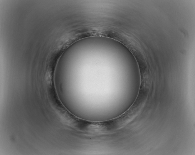 X0000112410699200908141401