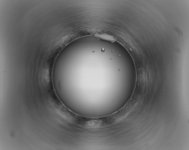 X0000112410700200908141401