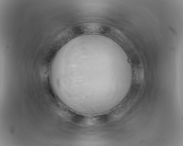 X0000112410701200908141401