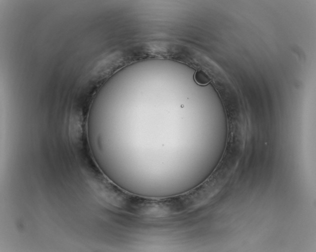 X0000112410702200908141401