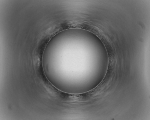 X0000112410703200908141401